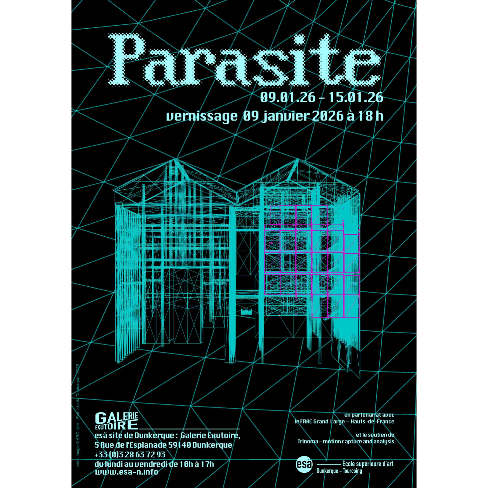 Parasite